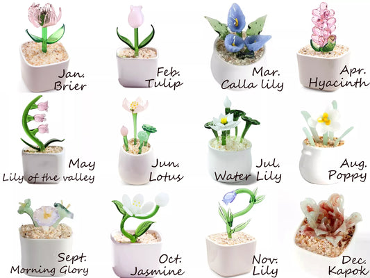 12 months birth flowers potted plant design