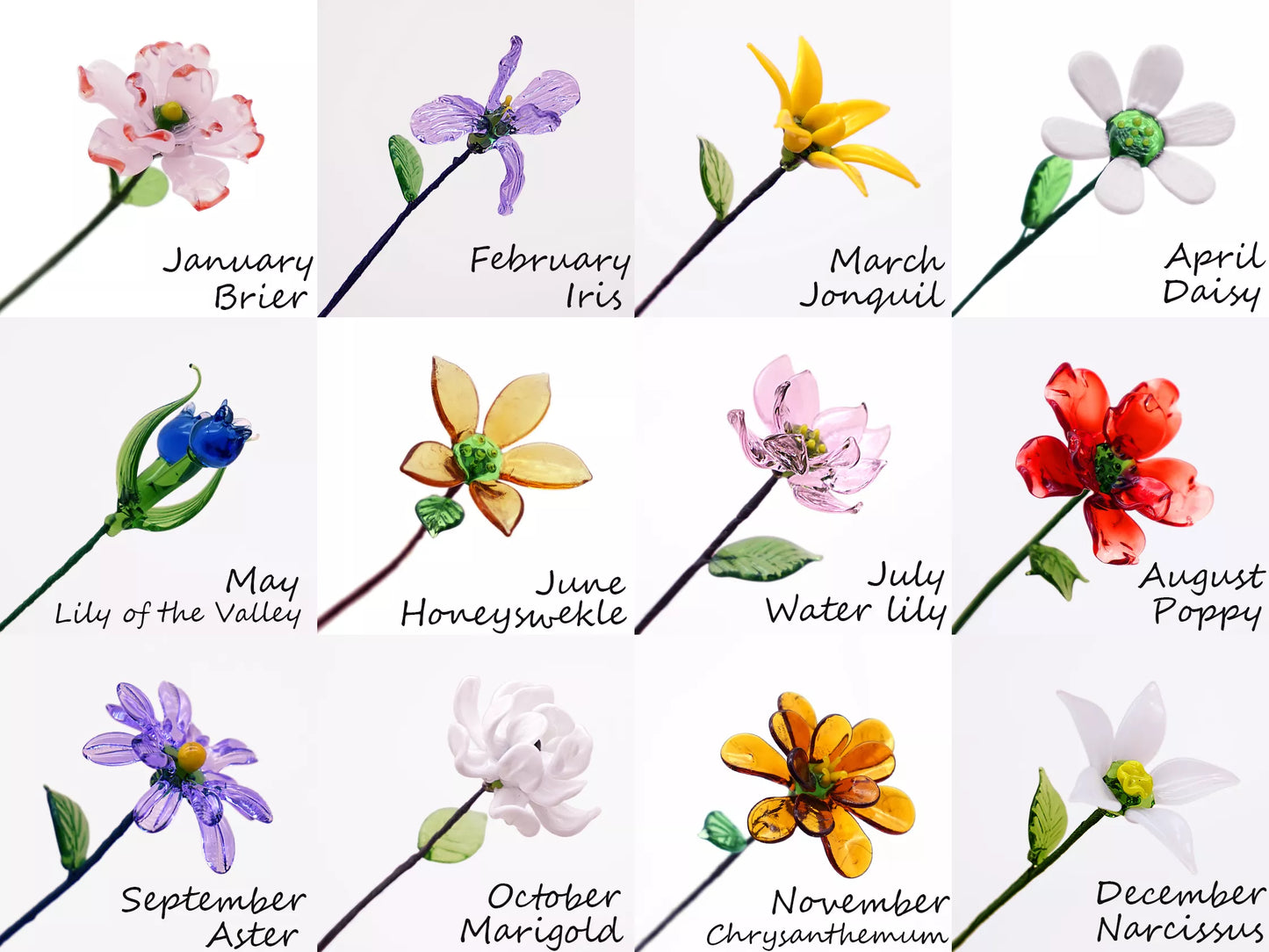 12 birth month flowers designs