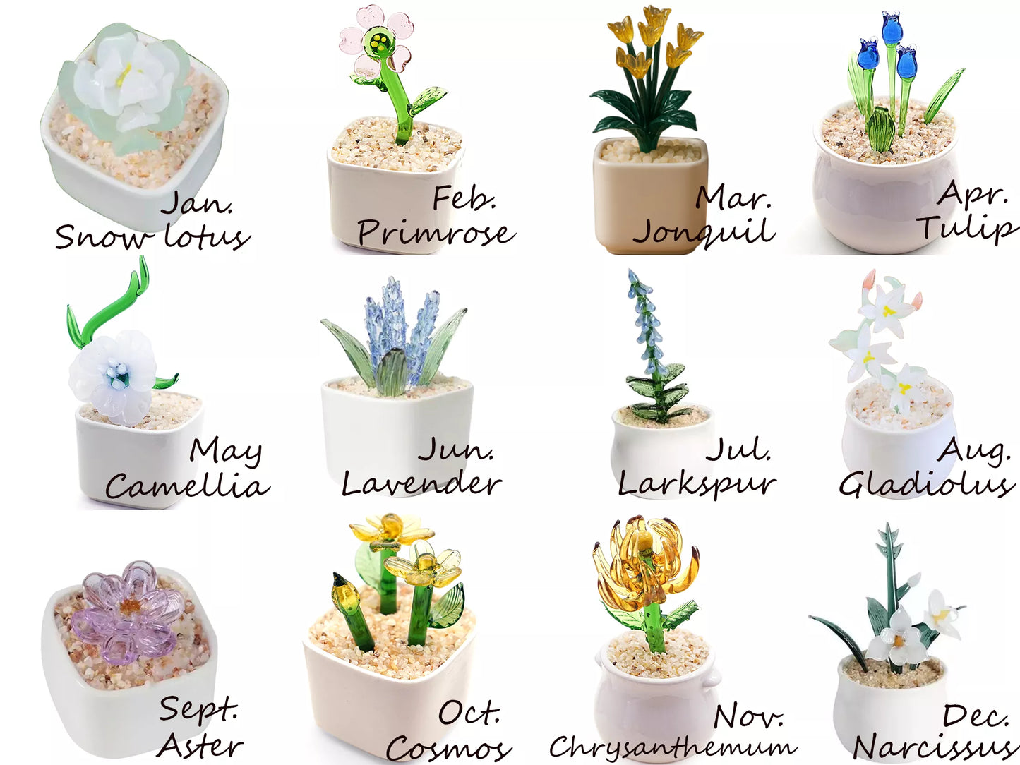 12 months birth flowers potted plant design