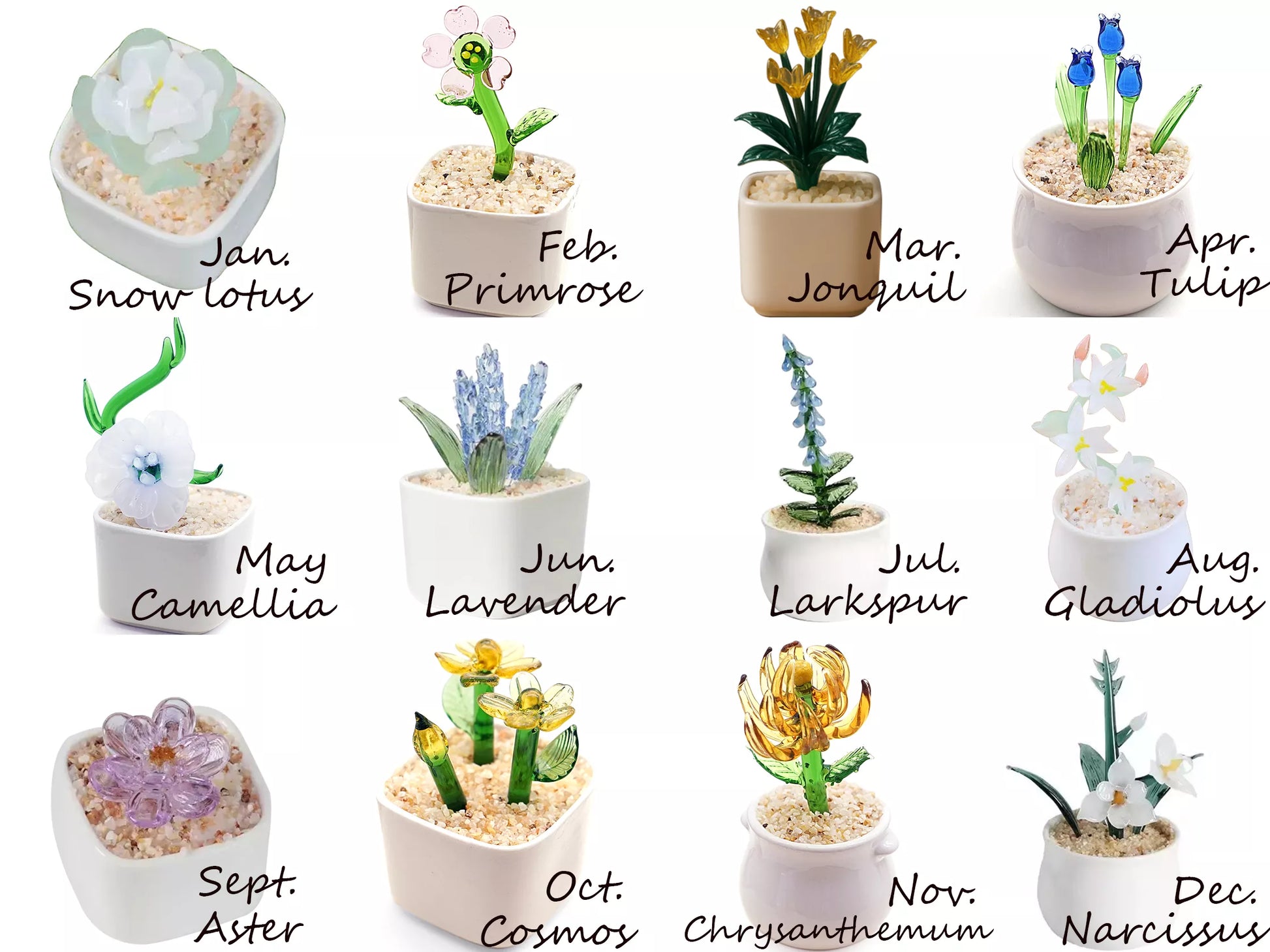 12 months birth flowers potted plant design