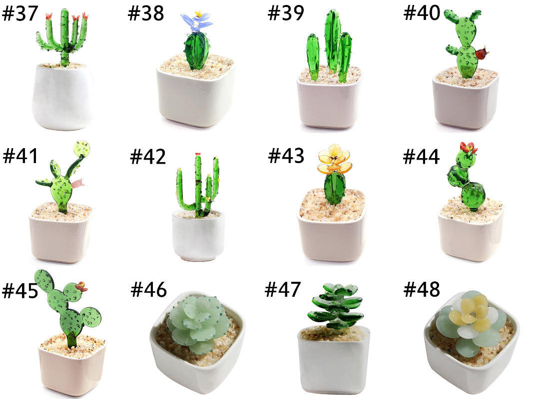 cactus potted plant designs