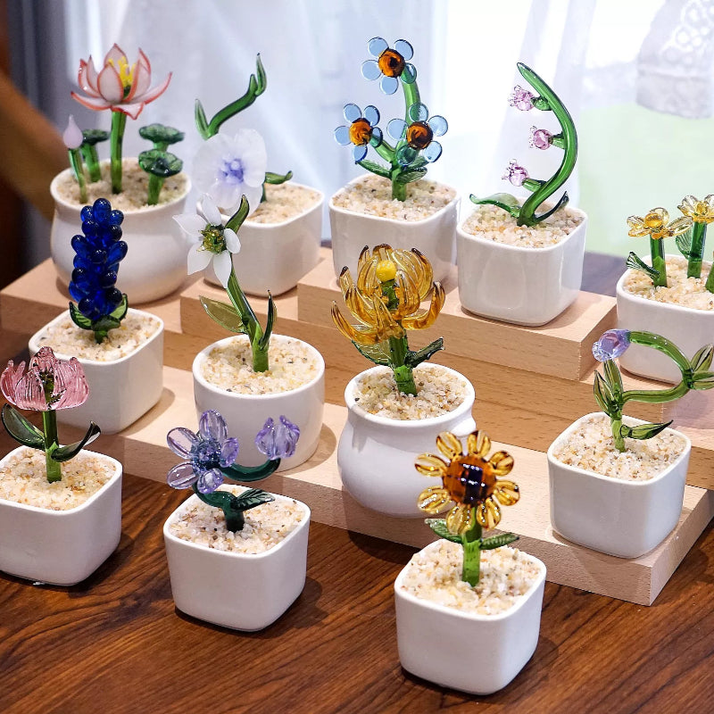 glass potted plant birth month flower