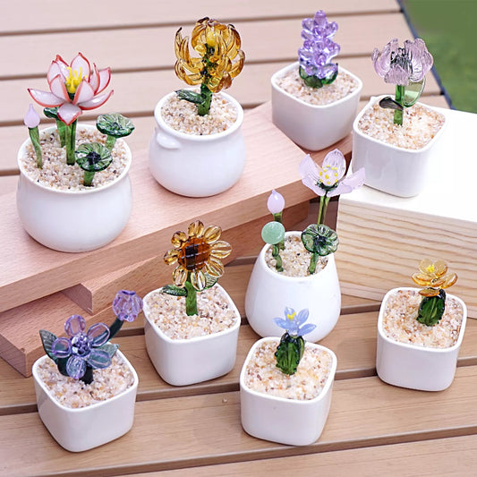 Elegant Glass Flower Pot | Lasting Gift for Christmas & Birthdays