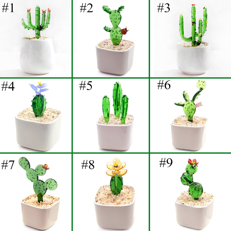 cactus potted plant designs