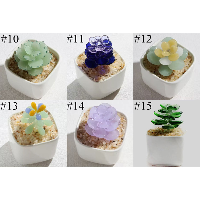 cactus potted plants glass designs