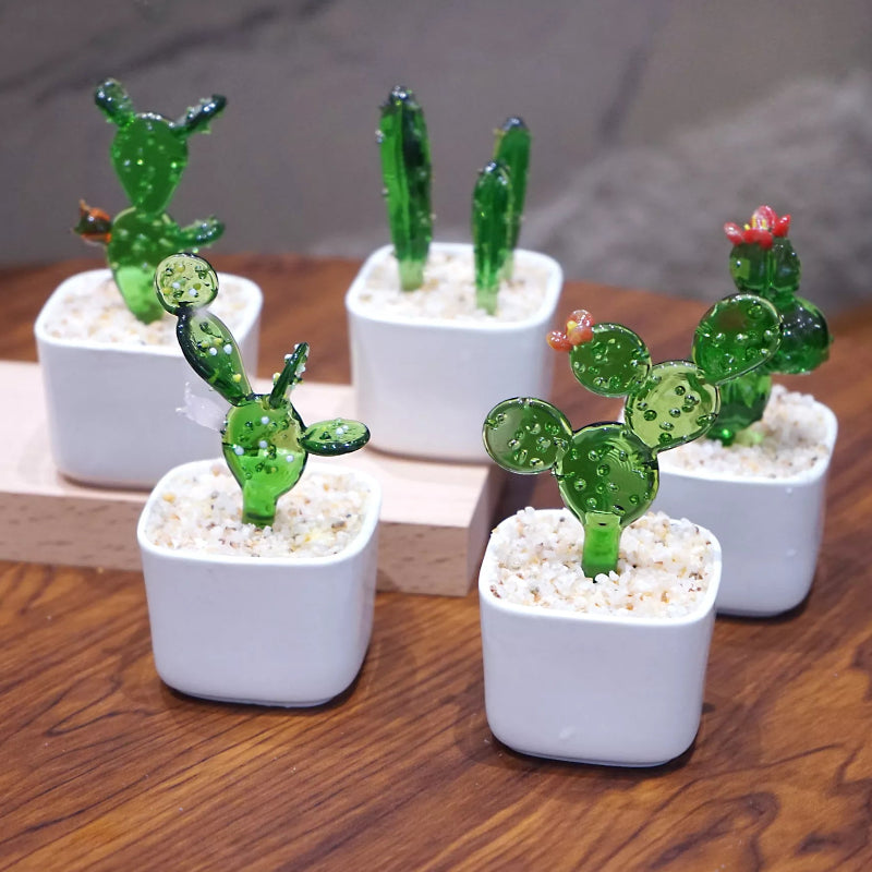 Glass Cactus Potted Plant – Thank You Gift for Teachers & Mentors