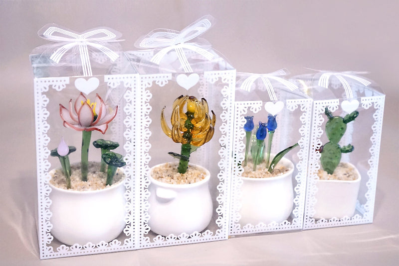 extra gift box for potted plant