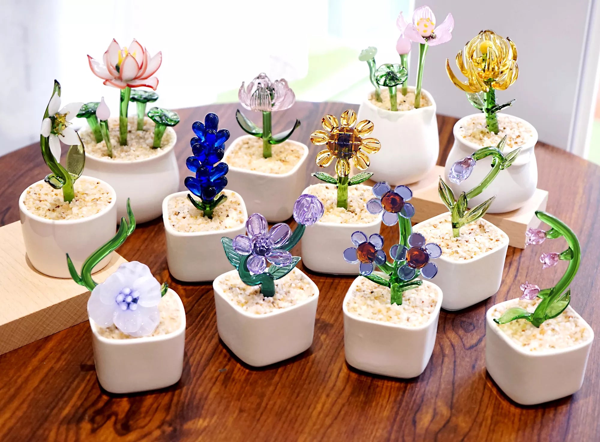 hand blow potted plants